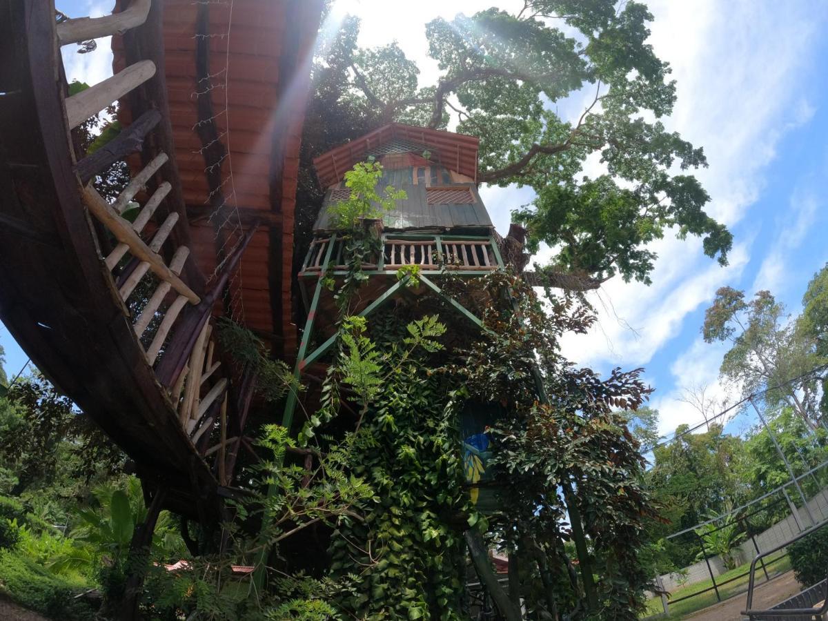 Tree House Samanea Lodge Puerto Limon Esterno foto