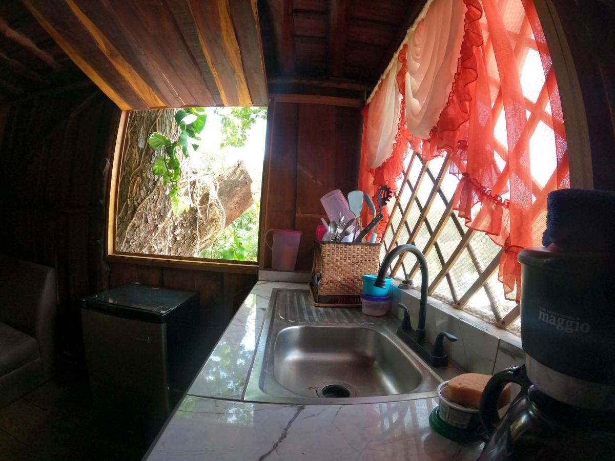 Tree House Samanea Lodge Puerto Limon Esterno foto